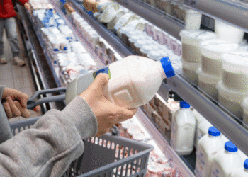 south african consumers
